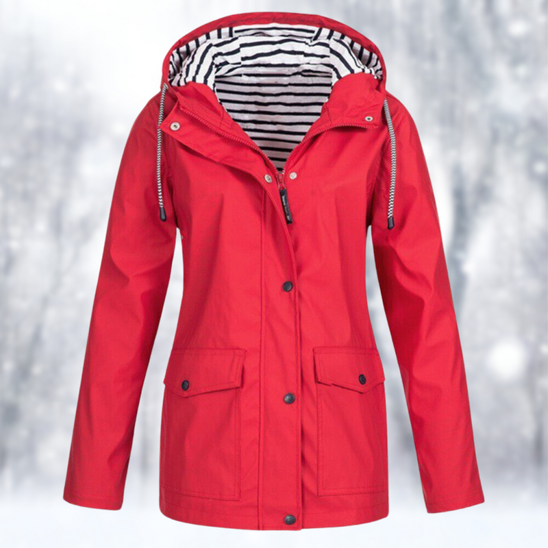 Elegantly Designed Garment