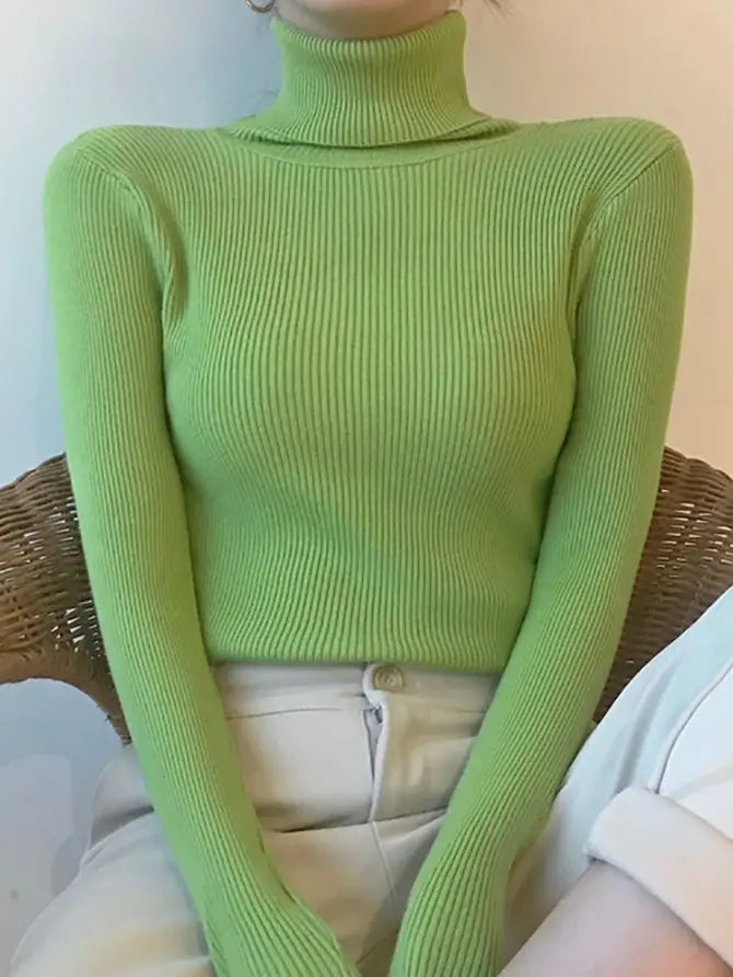 Classic Designed Sweater