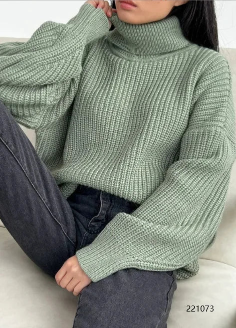 Elegantly Designed Sweater
