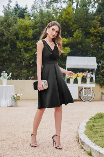 Elegantly Designed Dress