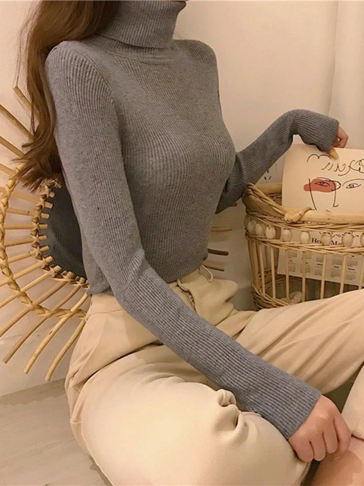 Elegantly Designed Sweater