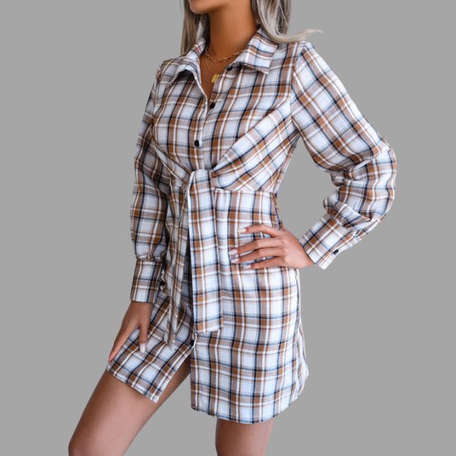 Classic Designed Dress