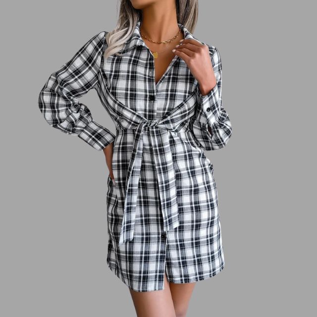 Classic Designed Dress