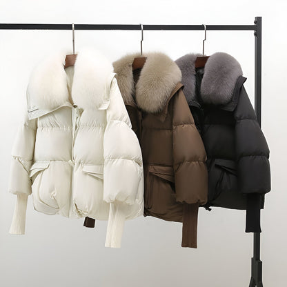 Classic Designed Jacket