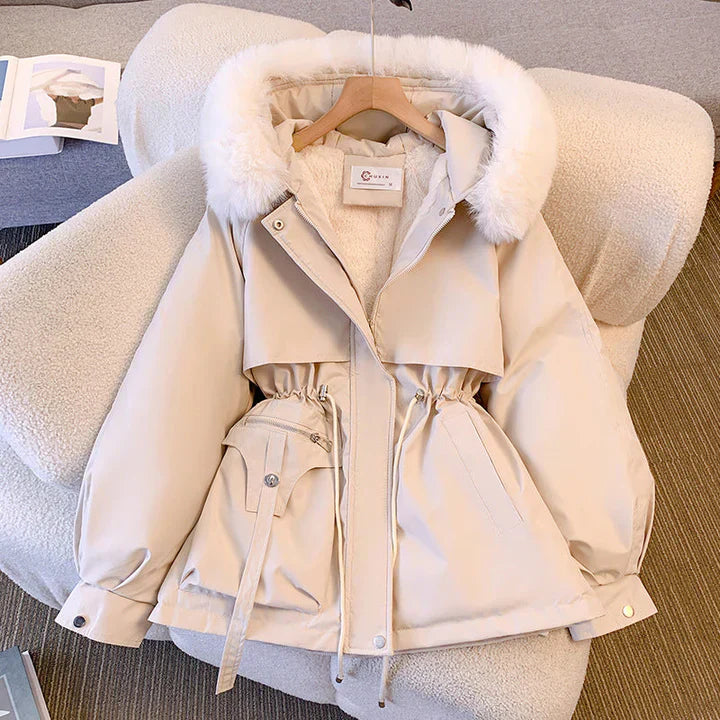 Classic Designed Jacket