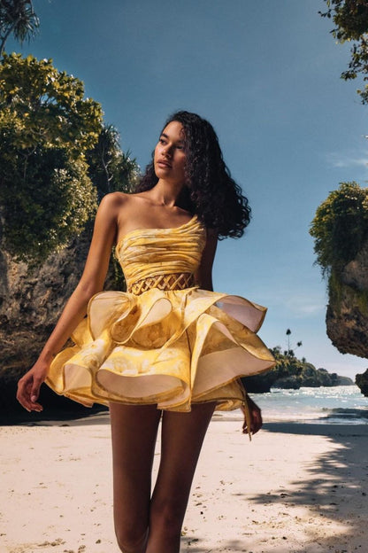 Elegantly Designed Dress
