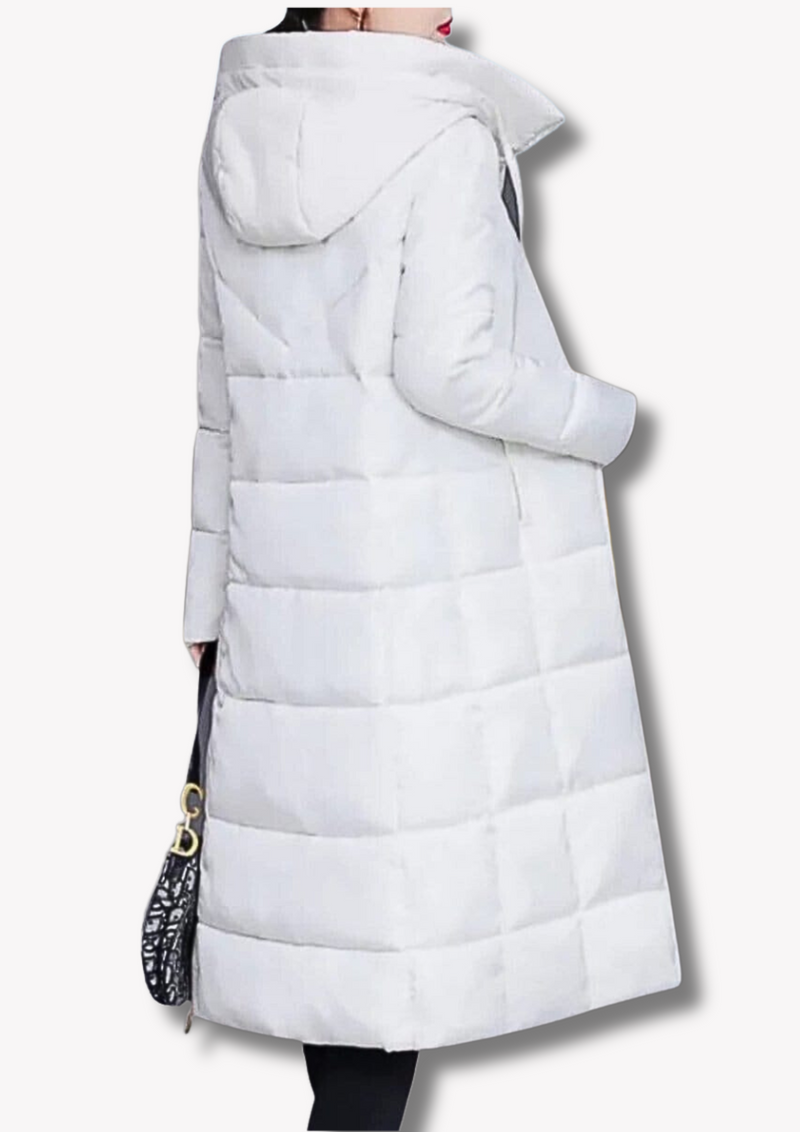 Elegantly Designed Garment
