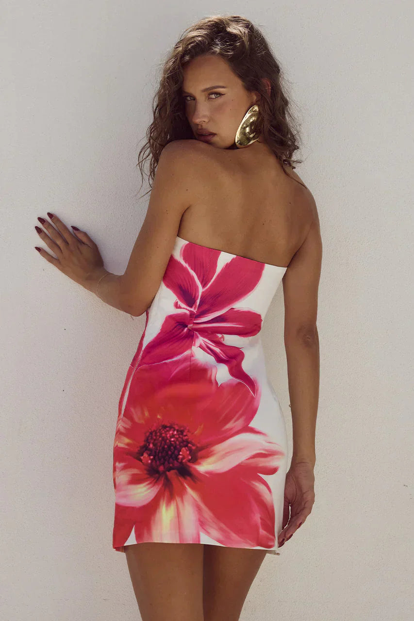 Beautifully Crafted Dress