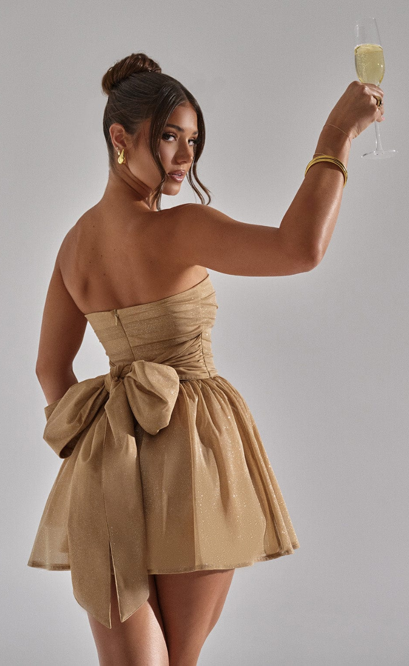 Classic Designed Dress