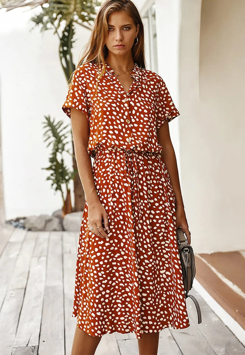 Elegantly Designed Dress