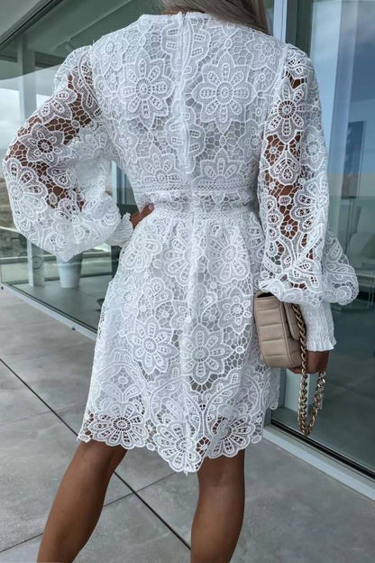 Elegantly Designed Dress