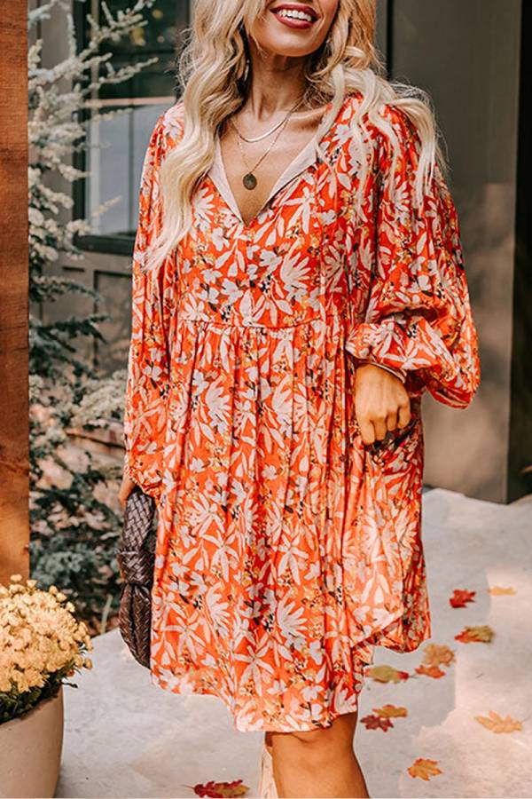 Classic Designed Dress