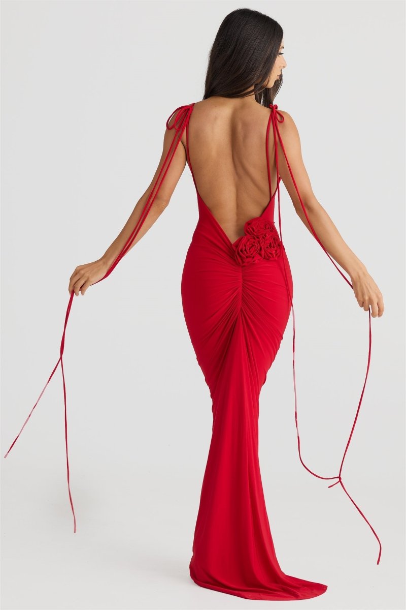 Thoughtfully Designed Dress