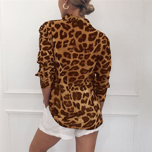 Classic Designed Blouse