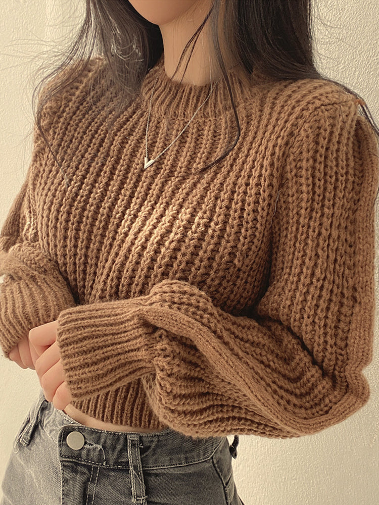 Elegantly Designed Sweater