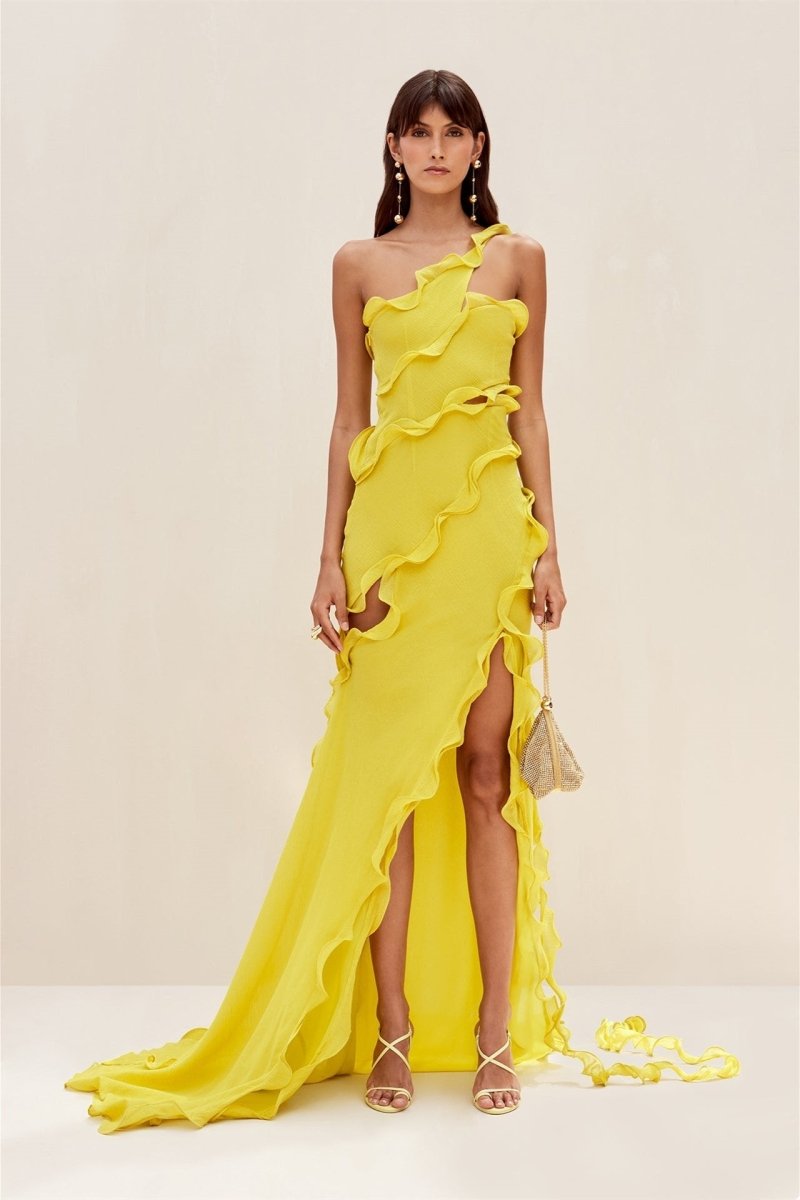 Classic Designed Dress