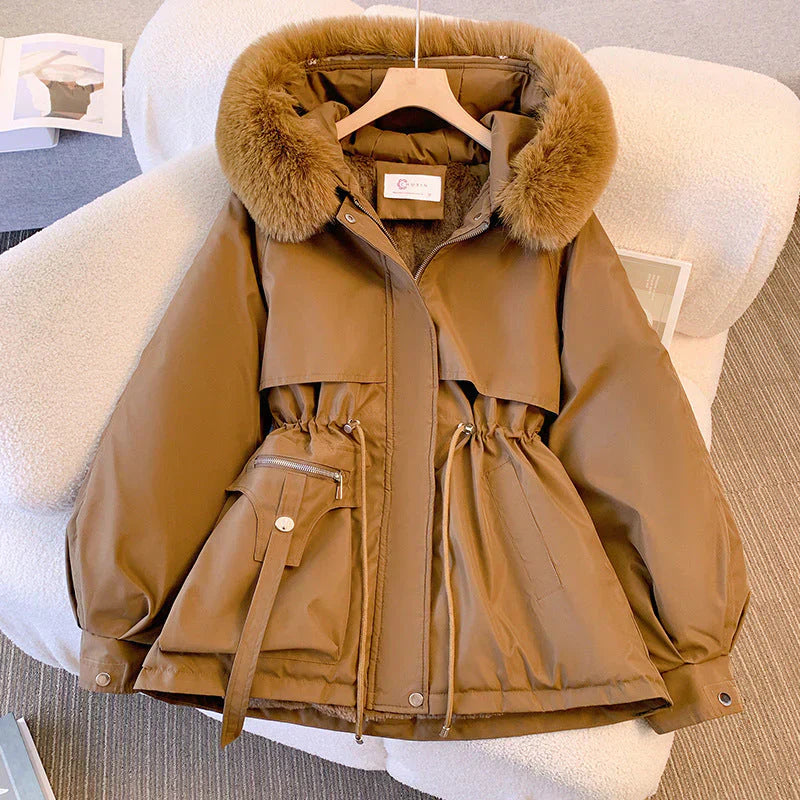 Gracefully Designed Jacket