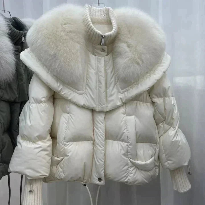 Thoughtfully Designed Jacket