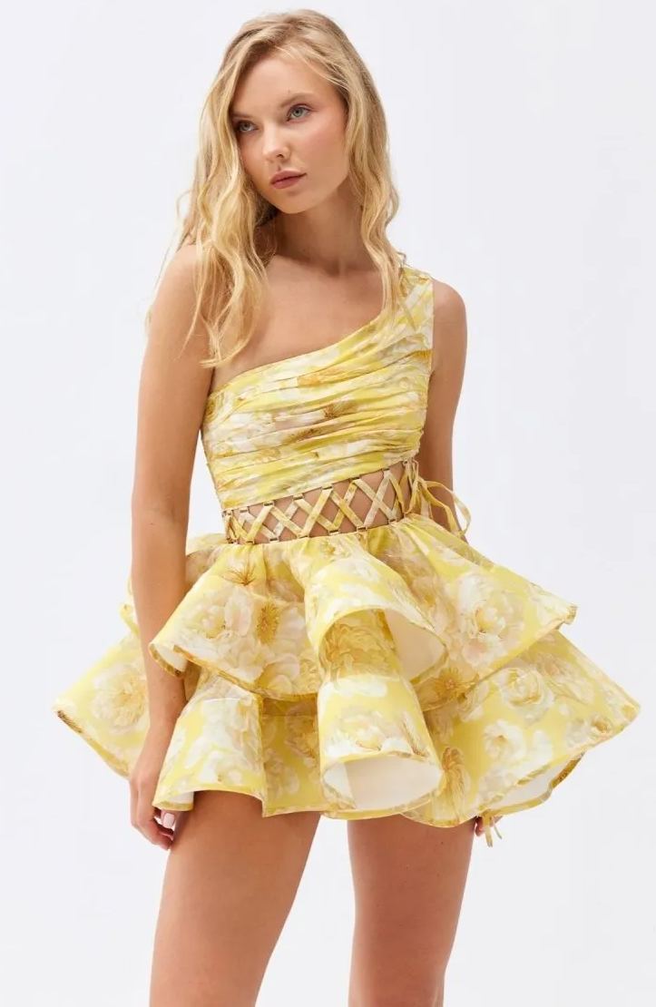 Elegantly Designed Dress