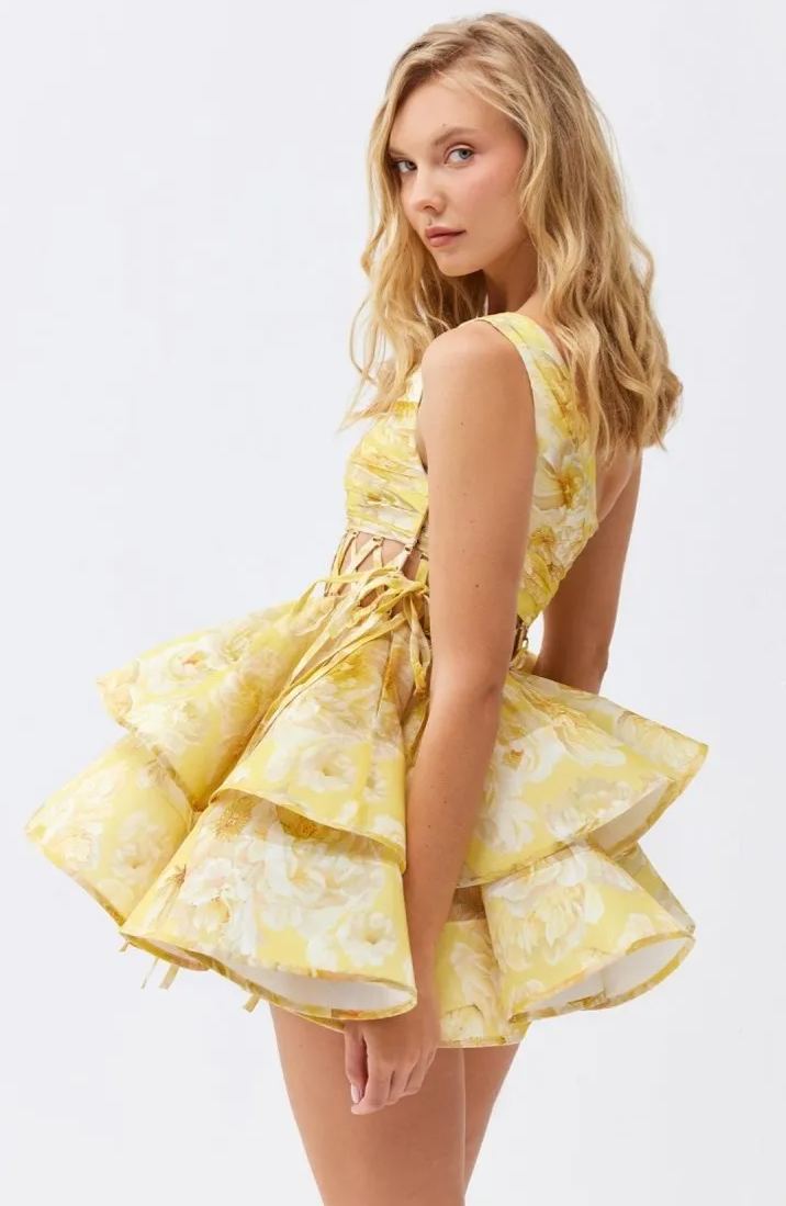 Elegantly Designed Dress