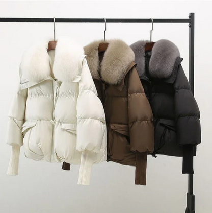 Gracefully Designed Jacket