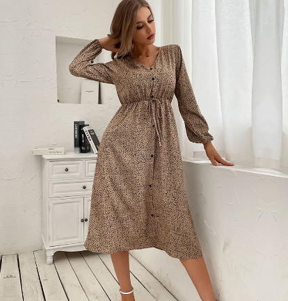 Classic Designed Dress