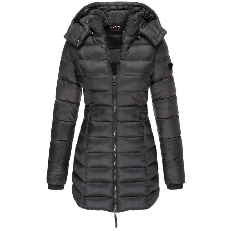 Beautifully Crafted Jacket