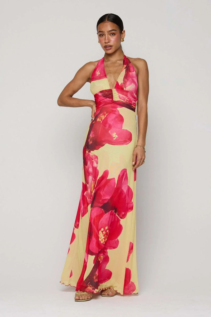 Elegantly Designed Dress