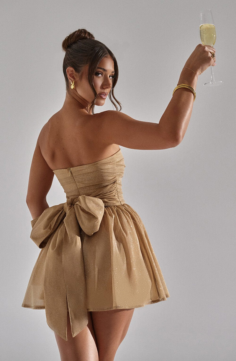 Classic Designed Dress