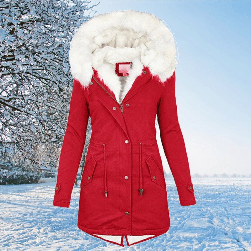 Classic Designed Garment