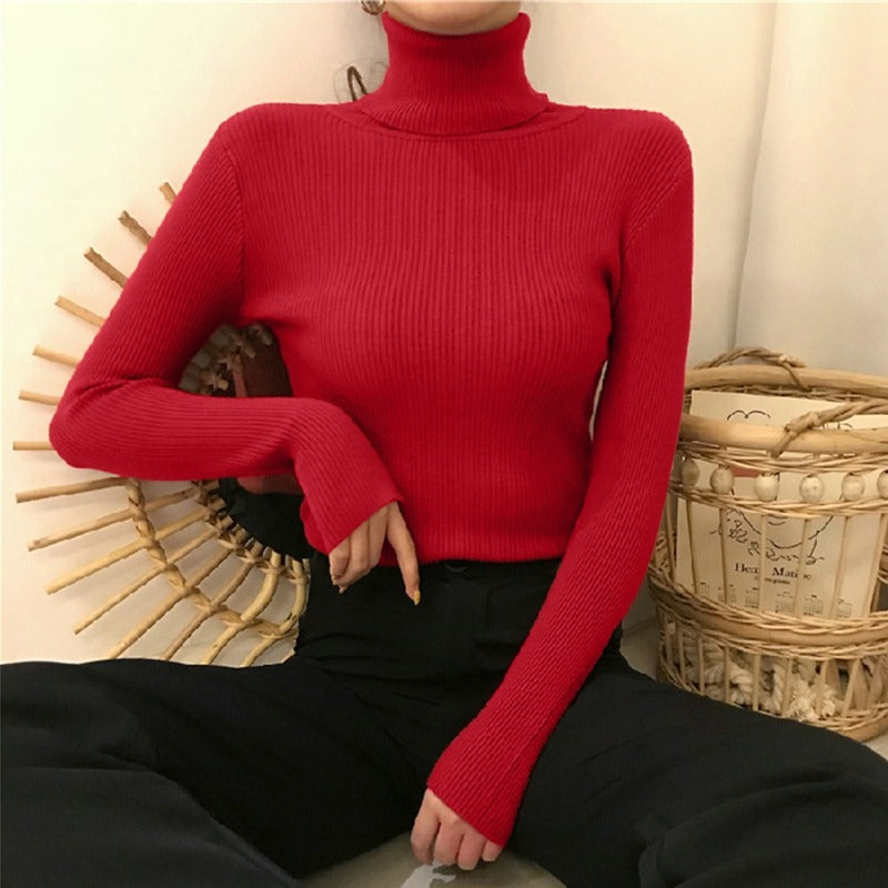 Elegantly Designed Sweater