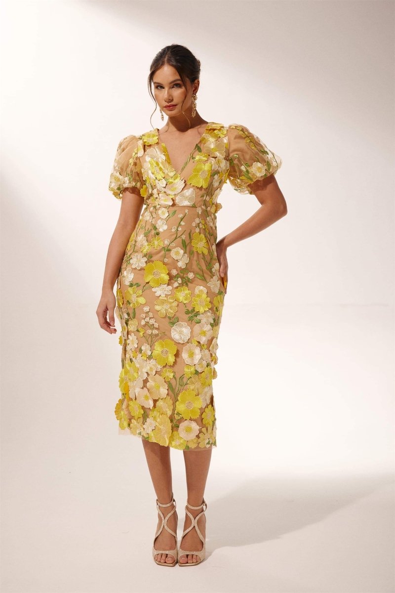 Classic Designed Dress