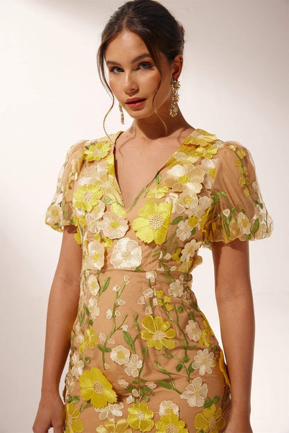 Classic Designed Dress