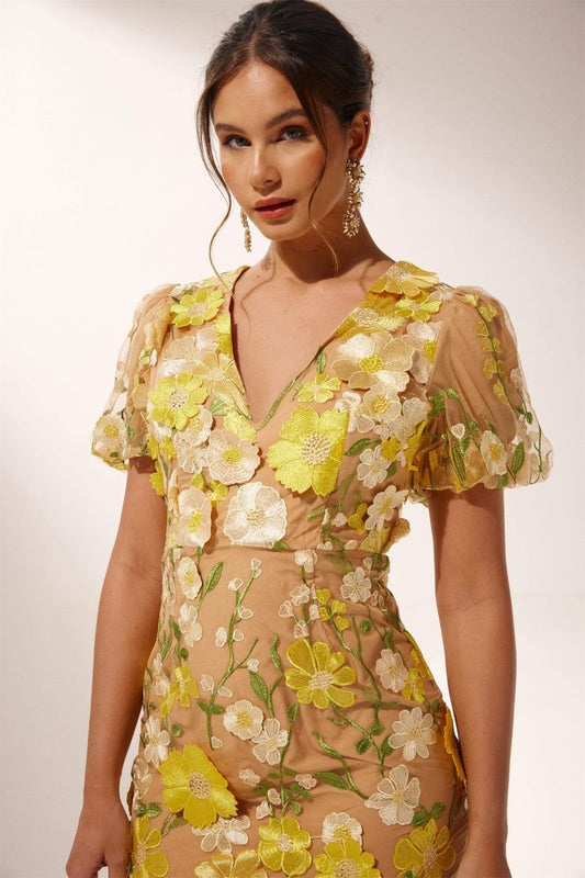 Classic Designed Dress