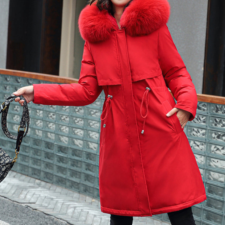 Beautifully Crafted Jacket
