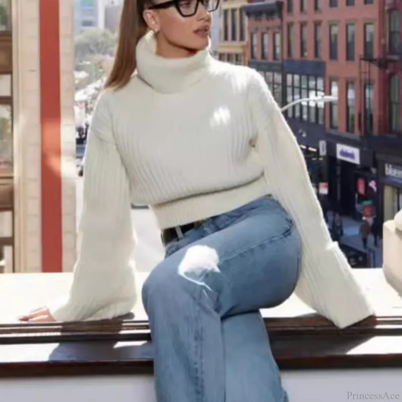 Elegantly Designed Sweater